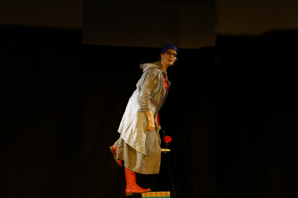 Photo du spectacle version interieur du spectacle Spectacle La Maladie des Nuages de Claudine Vigreux - Conte écologique théâtralisée à partir de 8 ans